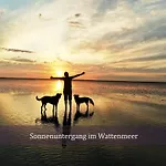 Daire De Uul Mit Schwimmbad Und Sauna Dorumer Neufeld
