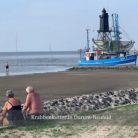 De Uul Mit Schwimmbad Und Sauna Διαμέρισμα *