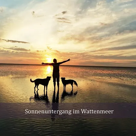 Διαμέρισμα De Uul Mit Schwimmbad Und Sauna Dorumer Neufeld